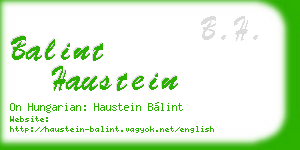 balint haustein business card